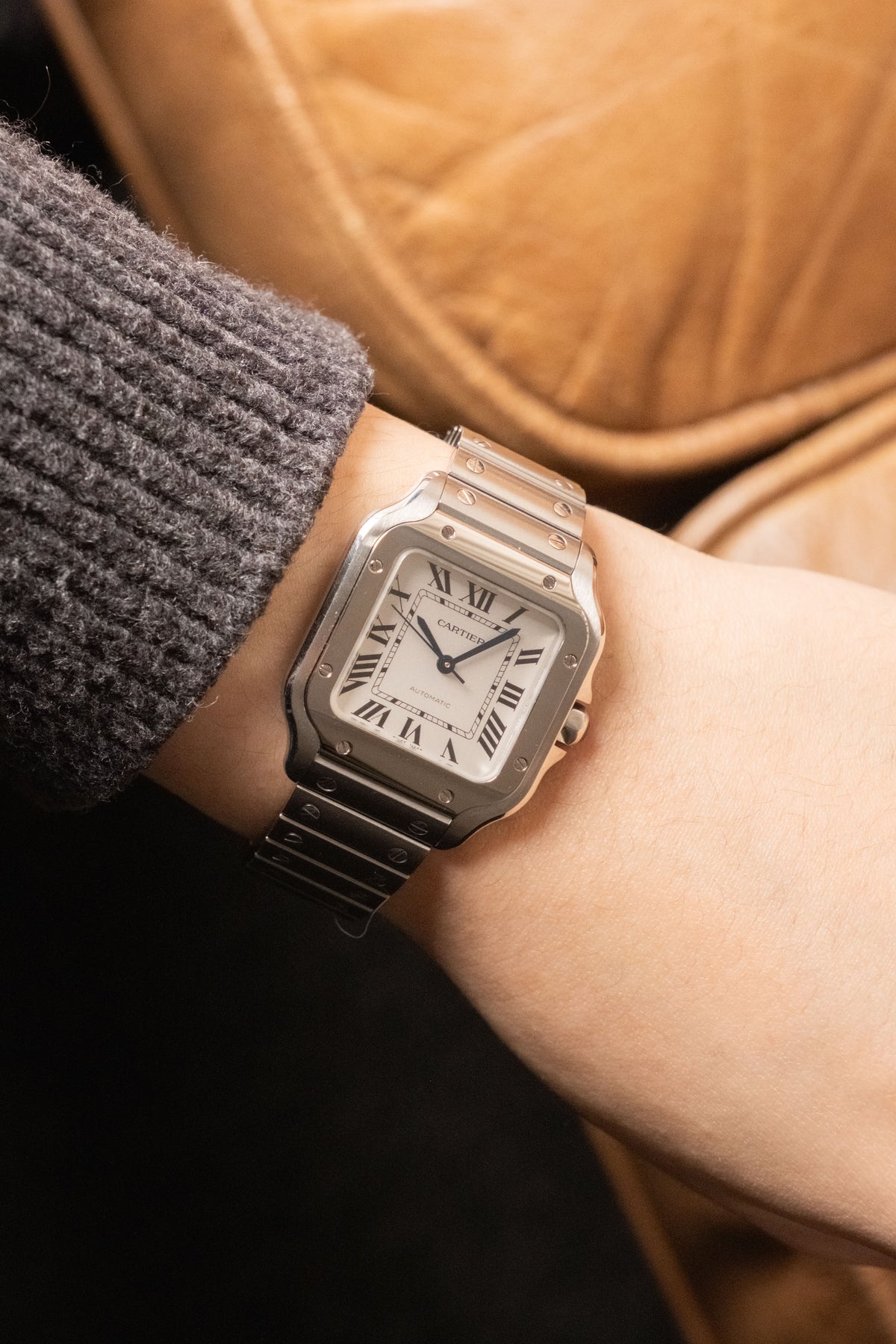 2026 Cartier Santos Medium Ref. WSSA0029 — photo 16