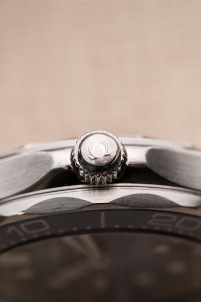 2021 Omega Seamaster Professional 300M “Blue Wave” Dial case profile side view