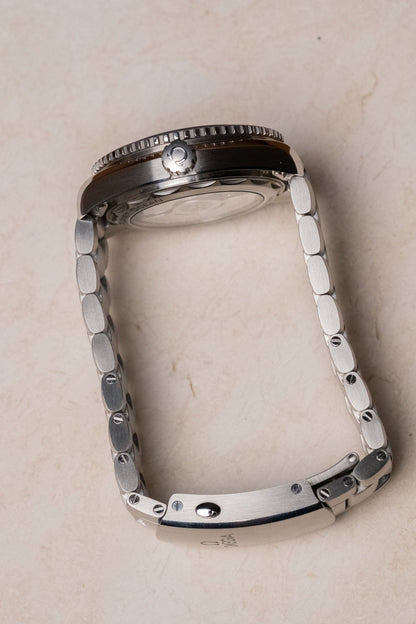 2024 OMEGA Seamaster Planet Ocean 600M Ceramic Bezel - Wristory