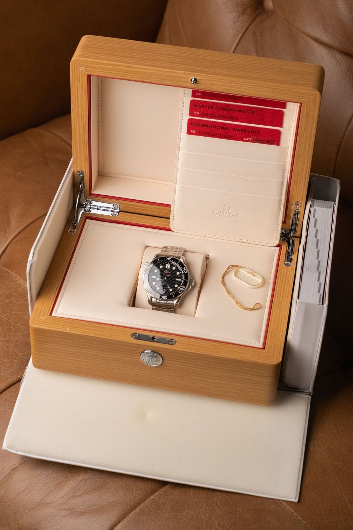 2025 Omega Seamaster Diver 300M 210.30.42.20.01.001 - Wristory