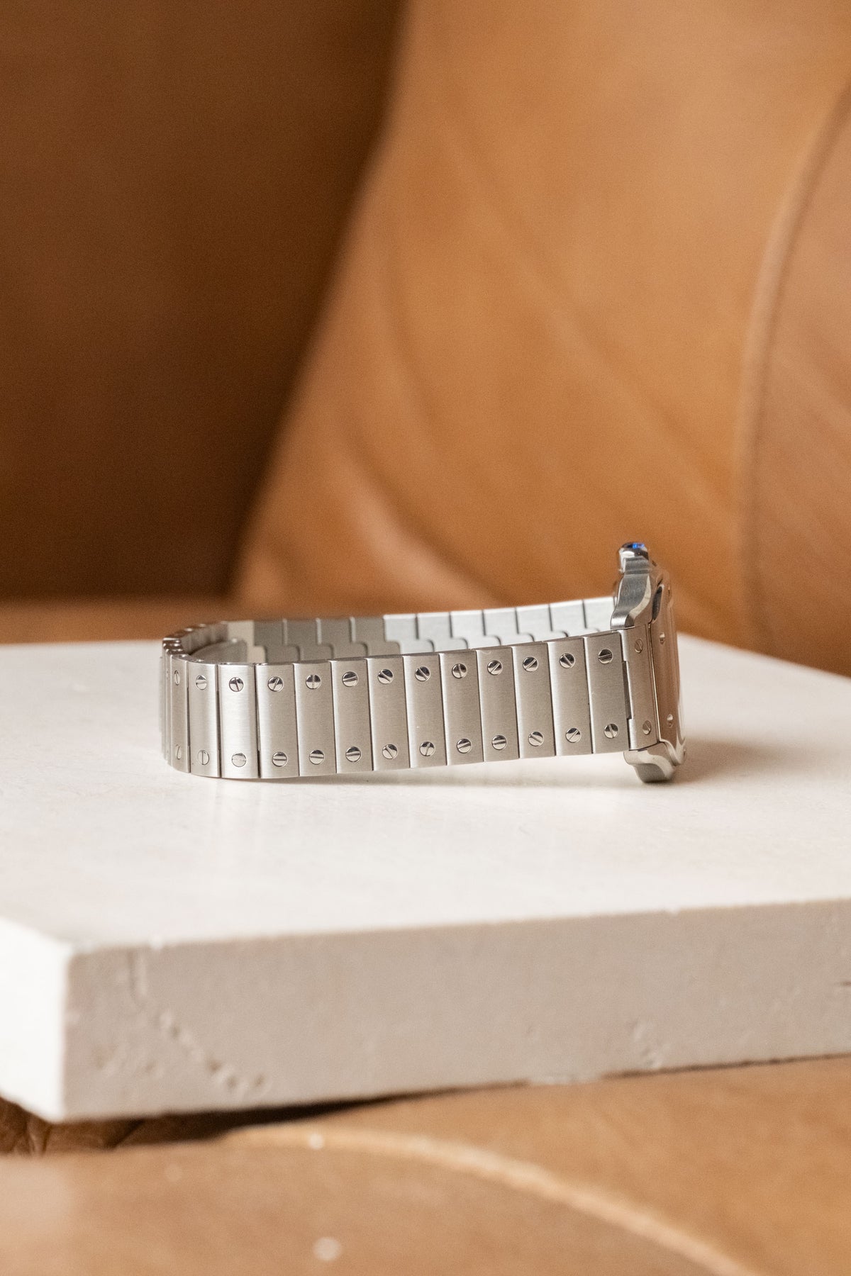 Circa 2025 Cartier Santos de Cartier Small WSSA0082 — photo 6