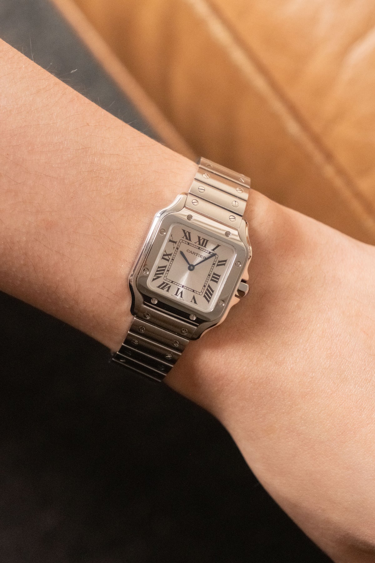 Circa 2025 Cartier Santos de Cartier Small WSSA0082 — photo 11
