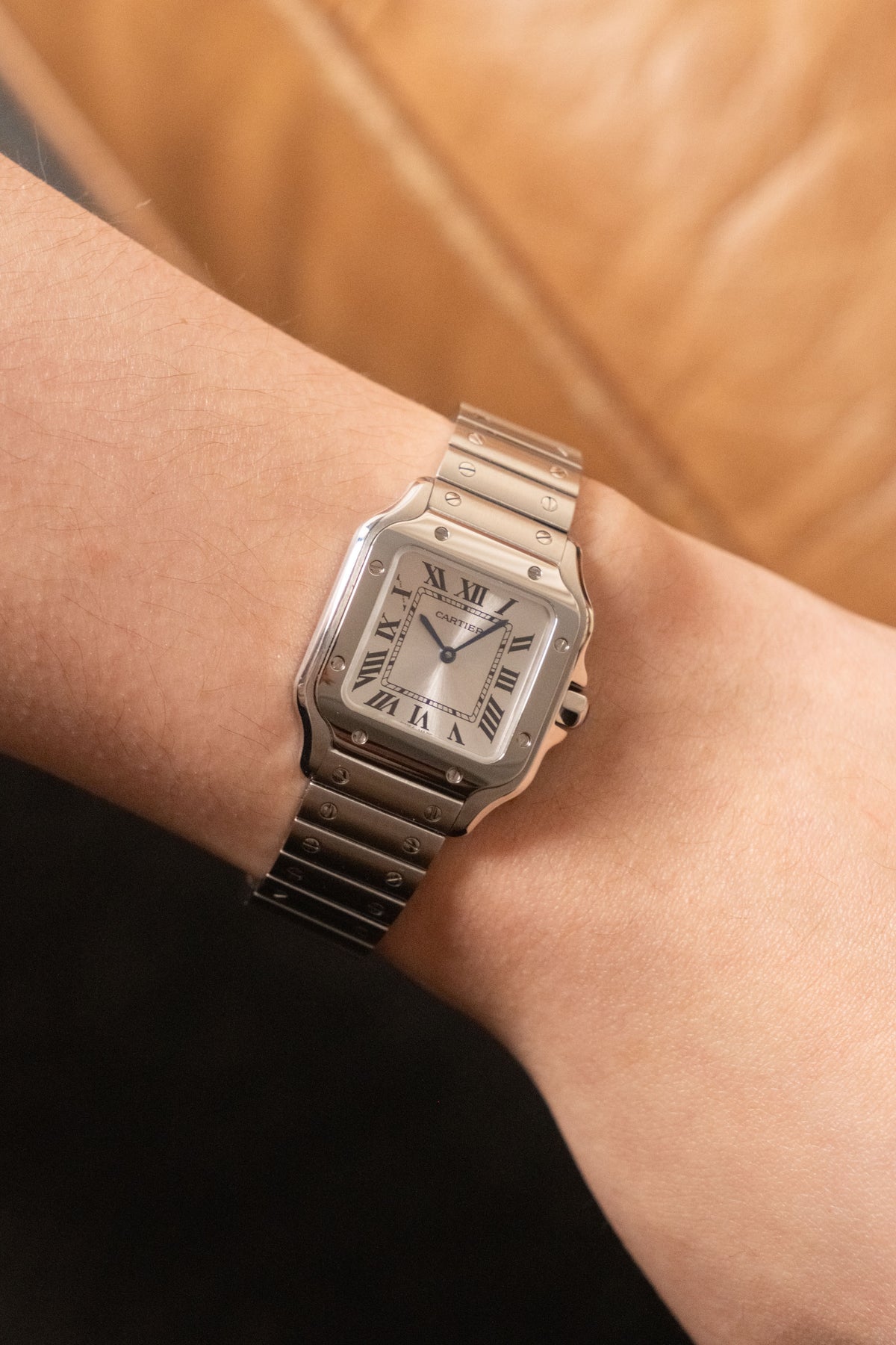 Circa 2025 Cartier Santos de Cartier Small WSSA0082 — photo 9
