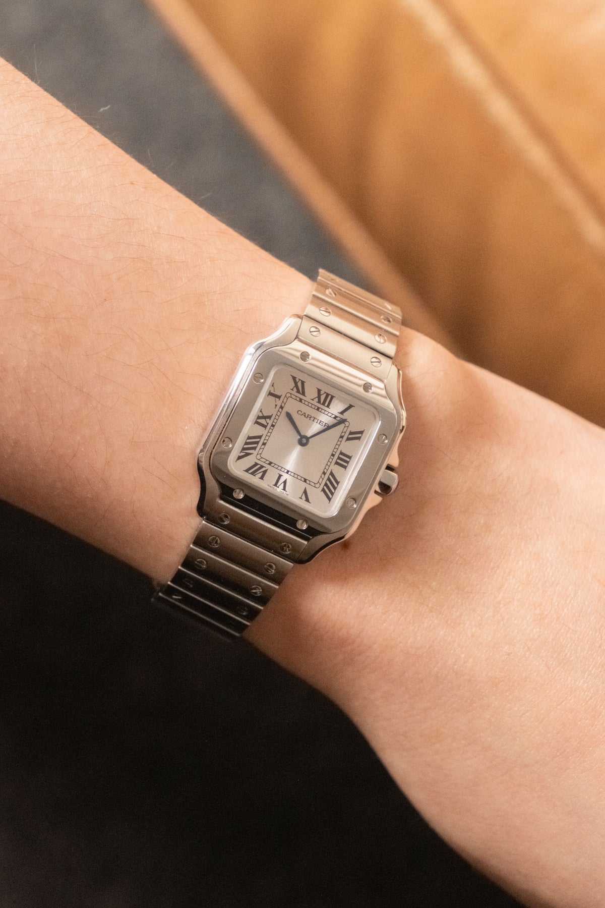 Circa 2025 Cartier Santos de Cartier Small WSSA0082 — photo 12