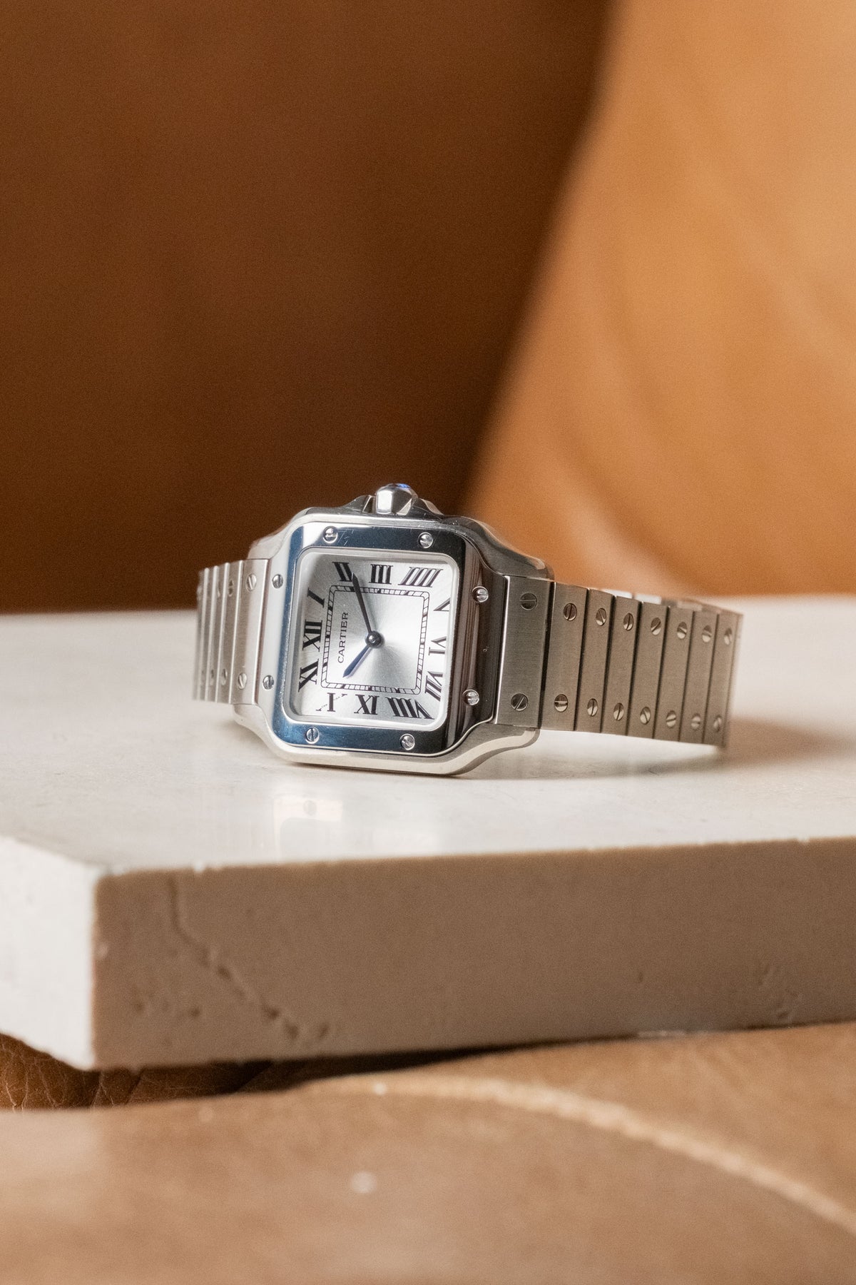 Circa 2025 Cartier Santos de Cartier Small WSSA0082 — photo 13