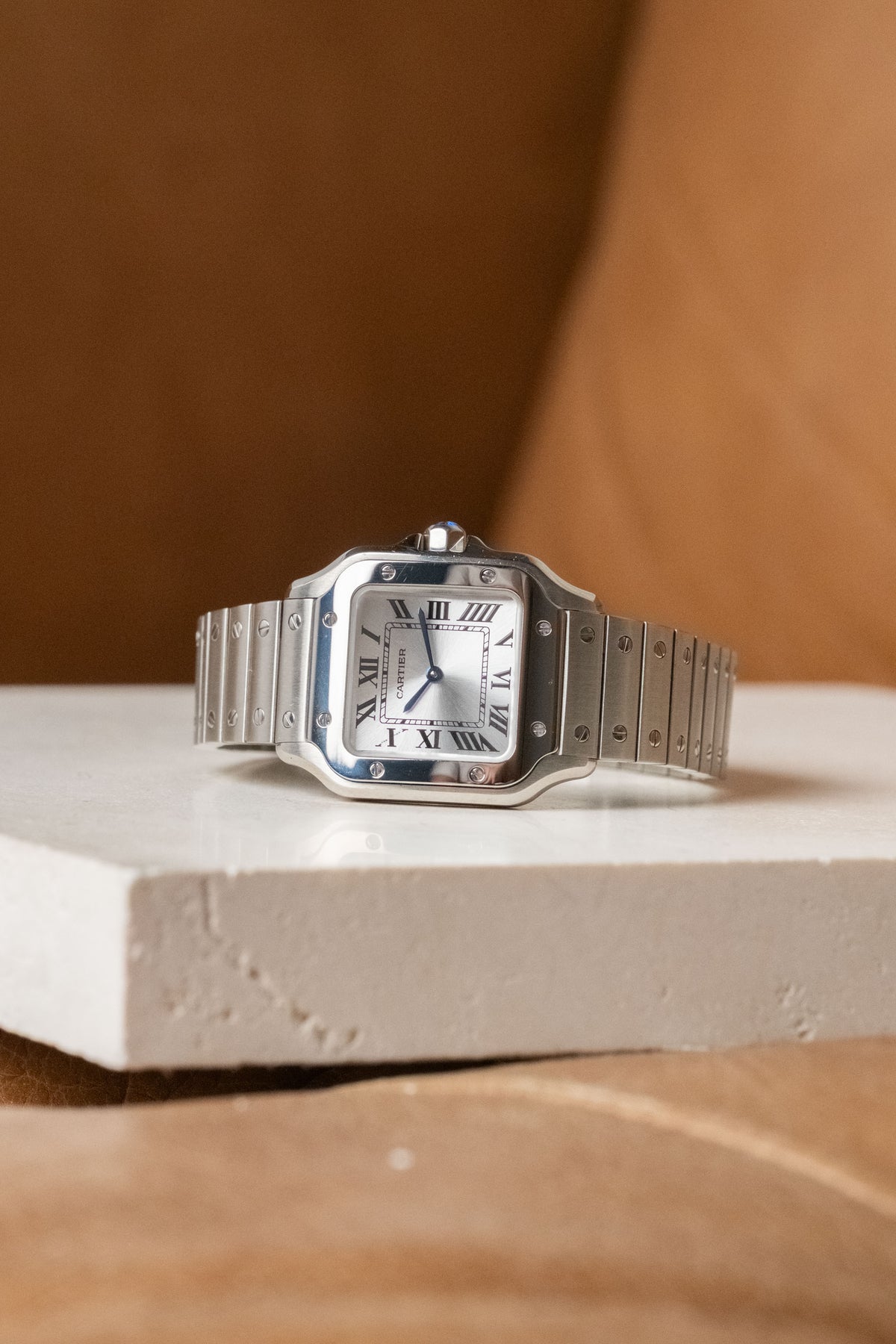 Circa 2025 Cartier Santos de Cartier Small WSSA0082 — photo 10