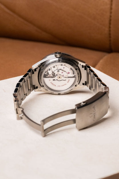 OMEGA Seamaster 300 41mm Ref. 233.90.41.21.03.001 - Wristory